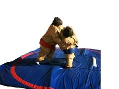 Sumo Suits with Mat Sumo Suits with Mat